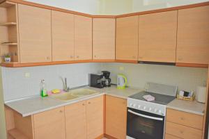 Kuchyň nebo kuchyňský kout v ubytování Alex Superior Apartment
