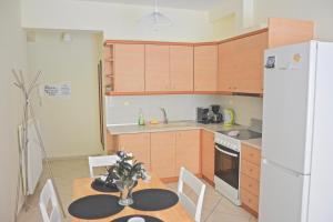 Kuchyň nebo kuchyňský kout v ubytování Alex Superior Apartment