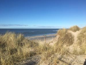 a beach with tall grass and the ocean at Søndervig Camping & Cottages in Søndervig