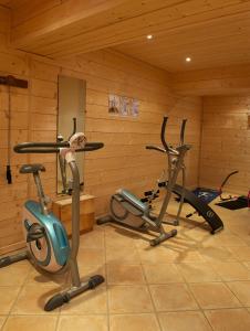 ラ・ロジエールにあるL'Accroche Coeurのエアロバイク2台(木製の壁の客室内)