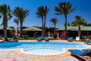 a pool with blue chairs and palm trees at Abu Dabbab Lodge in Abu Dabbab