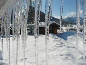 a group of icicles hanging from trees in the snow at Ferienwohnung Ulrich Wurmser in Rottach-Egern +22 photos