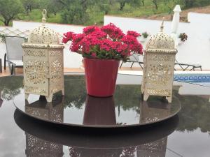 Vườn quanh Casa las Torres B&B
