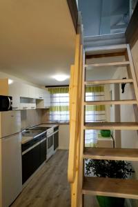 A kitchen or kitchenette at Apartma Eržen