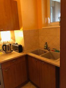 uma cozinha com um lavatório e uma torradeira num balcão em Club 218 Panoráma Apartman em Siófok
