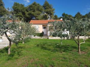 Gallery image of Secluded Seaside Holiday Home in Milna