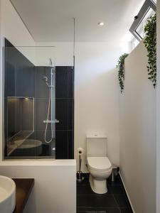 a bathroom with a toilet and a shower and a sink at Julio Apartment in Faro - Down Town Center in Faro