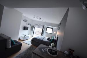 a living room with a bed and a couch at Urban Apartment in Niš