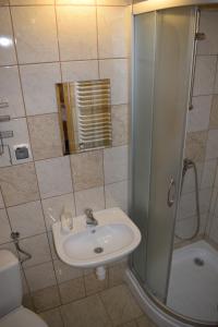 a bathroom with a sink and a shower at U Wajdy in Małe Ciche