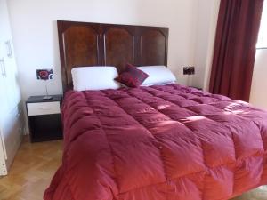 1 dormitorio con 1 cama grande y edredón rojo en Bosques & Lagos Palermo en Buenos Aires