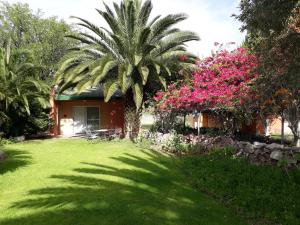 a house with a palm tree and pink flowers in a yard at Buschberg guest farm in Outjo
