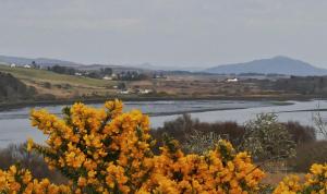 a view of a river with yellow flowers at Old Nurses Cottage in Skeabost +5 photos