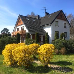 uma casa com arbustos amarelos à sua frente em Marea Apartamenty Ustka em Ustka