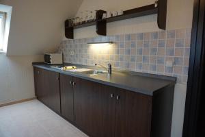 Kuchyň nebo kuchyňský kout v ubytování Villa Prestige