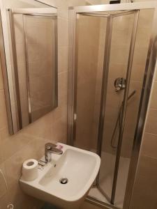 a bathroom with a sink and a shower at Hotel Siena in Milan