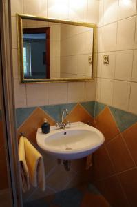 uma casa de banho com um lavatório e um espelho em La Petite Provence em Leisnig