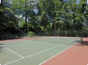 Facilități de tenis și/sau squash la sau în apropiere de Clifftop Chalet With Pool