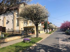 un árbol al lado de una calle con flores púrpuras en Villa Prestige en Hévíz