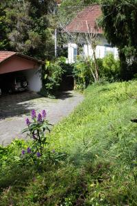 un jardín con flores púrpuras frente a una casa en Villa Violeta en Petrópolis
