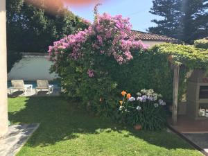 Κήπος έξω από το Villa Black Bnb