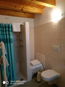 a bathroom with a toilet and a shower with a shower curtain at Agriturismo Il Girasole in Feltre