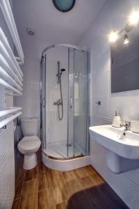 a bathroom with a shower and a toilet and a sink at Noclegi Reda in Polańczyk