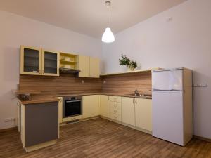 Kuchyň nebo kuchyňský kout v ubytování Apartmán U Křížku
