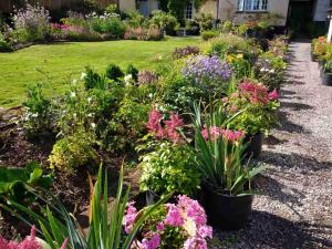 un jardín de flores frente a una casa en Brambles Bed and Breakfast, en Tiverton