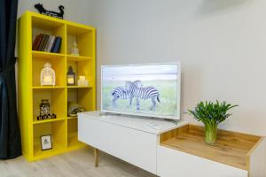 TV a/nebo společenská místnost v ubytování Apart-Hotel "LAVINA"