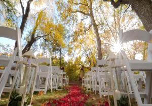 una fila di sedie bianche a una cerimonia nuziale di Los Abrigados Resort and Spa a Sedona