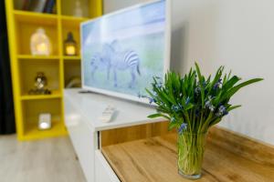 TV a/nebo společenská místnost v ubytování Apart-Hotel "LAVINA" + 37 fotografií