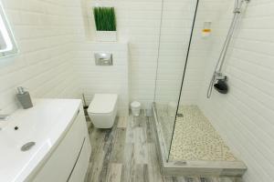 a bathroom with a shower with a toilet and a sink at Apart-Hotel "LAVINA" in Sumy