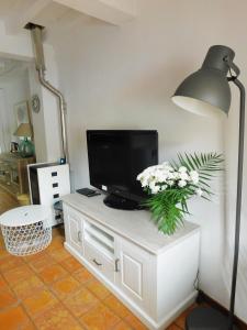 a living room with a tv on a white cabinet with flowers at Alborada Apartamentos Rurales in Hervás