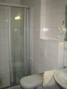 a bathroom with a shower and a toilet and a sink at Landhotel Weinhaus Treis in Weinähr