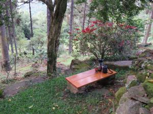 Casa Colina do Sol外面的花园