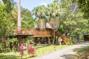 a tree house in a park with palm trees at Gite du Manial in Pointe-Noire