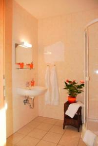 a bathroom with a sink and a shower at Hotel Rosenhof in Isenbüttel