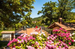 Gallery image of Hotel La Scottiglia e Ristorante in Seggiano +173 photos