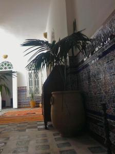Fotografie z fotogalerie ubytování Dar Nakhla Naciria v destinaci Tanger