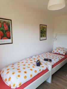 um quarto com uma cama com uma câmara em Ferienwohnung Waldeck am Edersee em Waldeck
