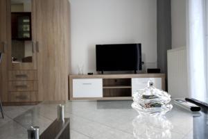a living room with a flat screen tv on a entertainment center at Dimitris Flat in Neoi Epivates