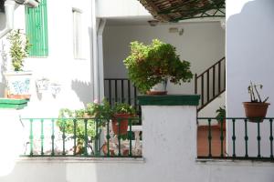 a courtyard with potted plants on a balcony at Pensión San Joaquín in Granada