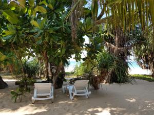 zwei weiße Stühle am Strand unter einem Baum in der Unterkunft Sunrise Beach Inn in Ambalangoda