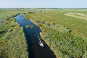 ShakaweXaro Lodge的一条在田野里沿着河流航行的船