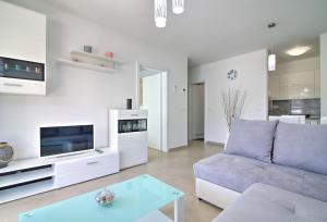 塞尼Apartment Waves-Villa Sunce的带沙发和电视的客厅