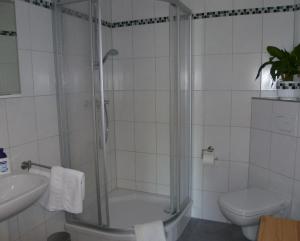 y baño con ducha, aseo y lavamanos. en Ferienwohnung Kutscherhof Bartels, en Bispingen