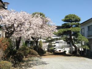 uma entrada em frente a uma casa com árvores de akura em Minshuku Nakano em Fujiyoshida
