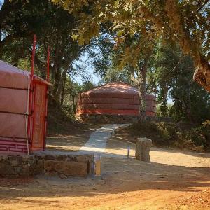 Fotografie z fotogalerie ubytování Quinta do Ragal v destinaci Lavacolhos
