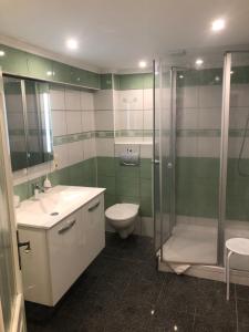 ノルダーナイにあるWohnung Meeresbriseのバスルーム(シャワー、トイレ、シンク付)
