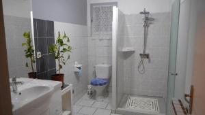 a bathroom with a shower and a toilet and a sink at La Cigale in Malaucène +16 photos